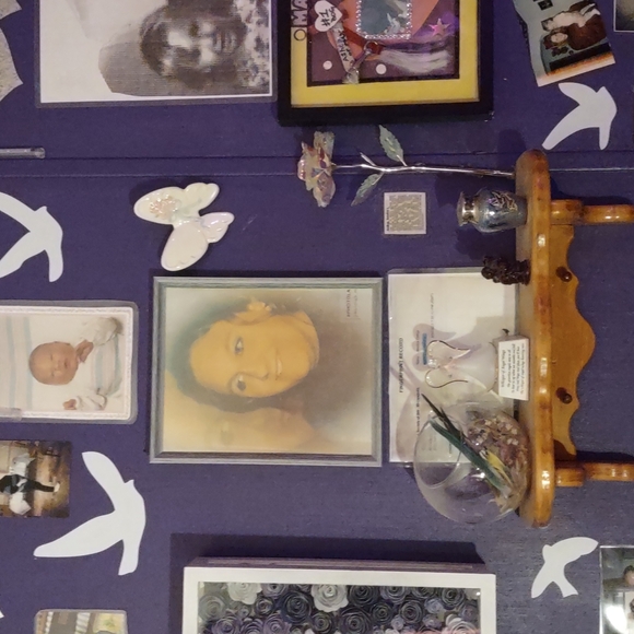 Meet your Posher, Betsy - Picture 3 of 4